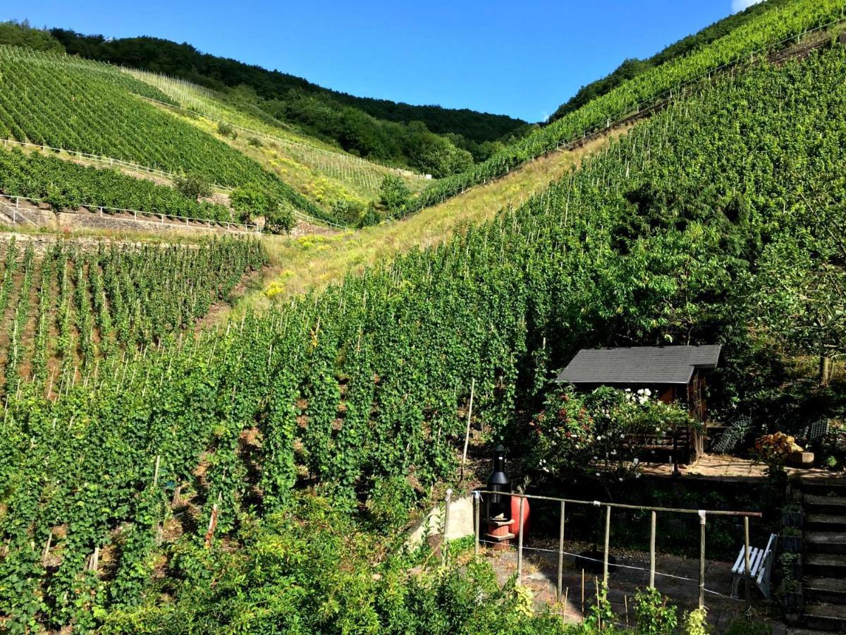Ferienwohnungen Merl Zell Extérieur photo